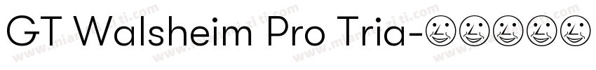 GT Walsheim Pro Tria字体转换